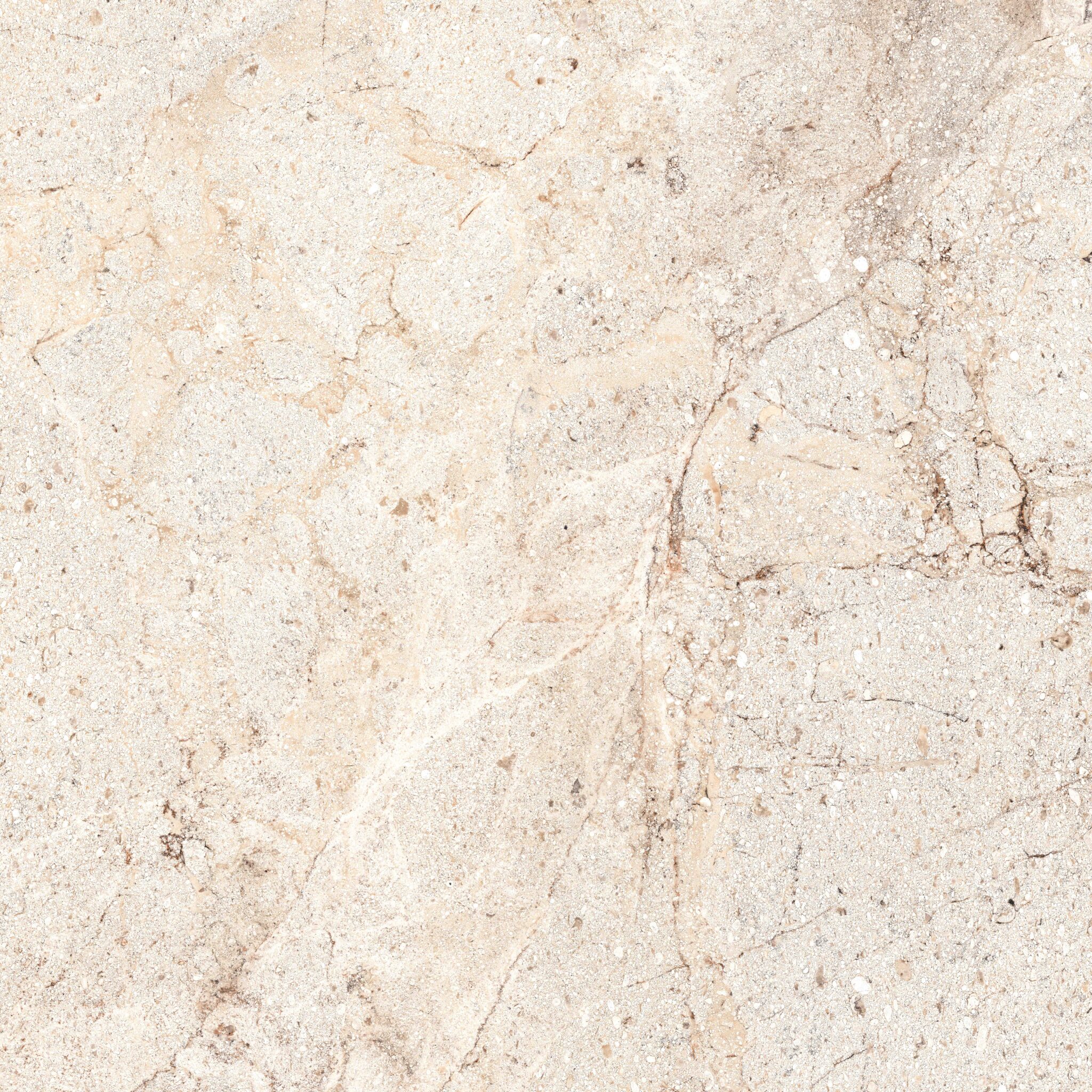 ACROPOLIS BONE 9032B11 - Image 4