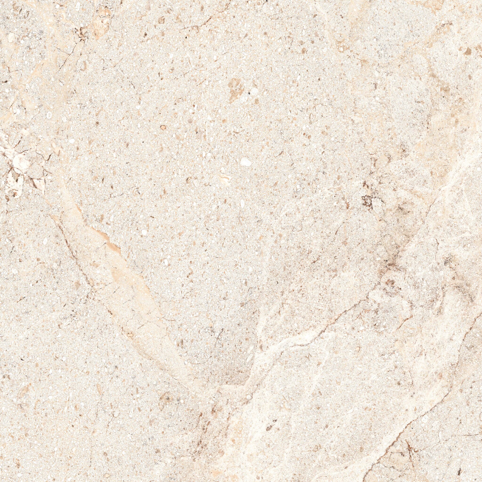 ACROPOLIS BONE 9032B11 - Image 3
