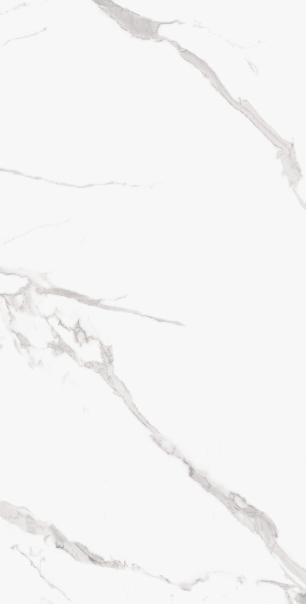 ADRIATICO SILVER POLISHED 107CP11 - Image 4