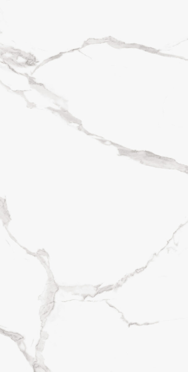 ADRIATICO SILVER POLISHED 107CP11 - Image 2