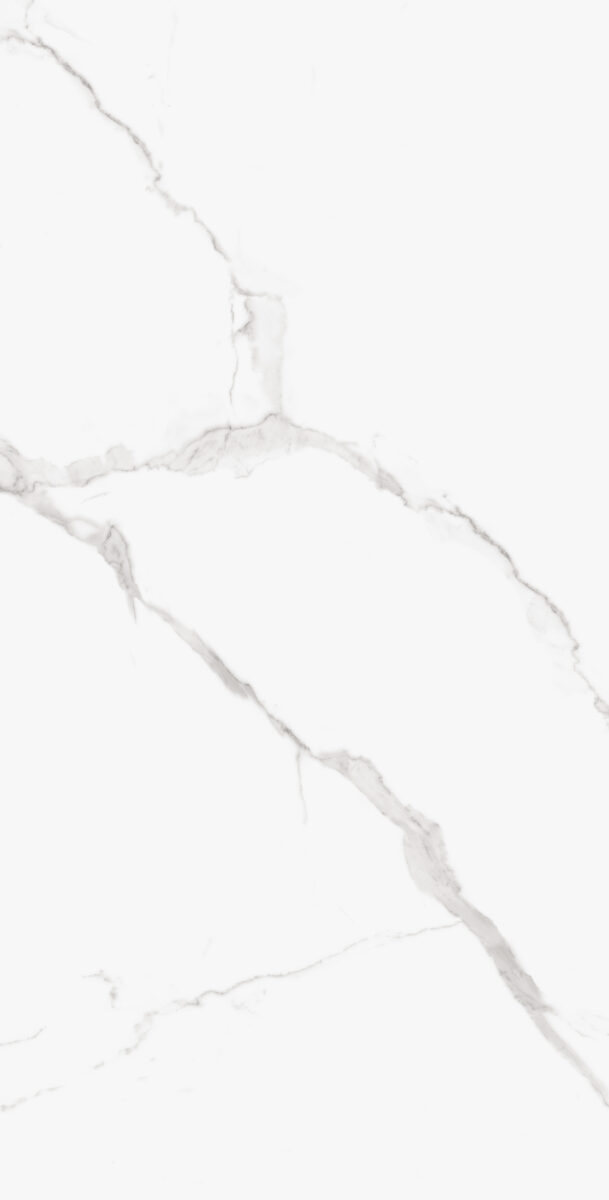 ADRIATICO SILVER POLISHED 107CP11 - Image 3