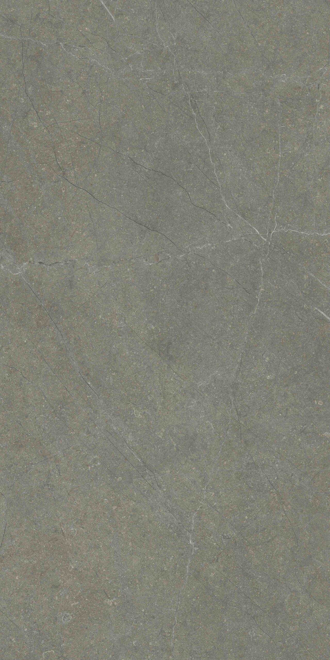 BELFORT DARK 137CC11 - Image 2
