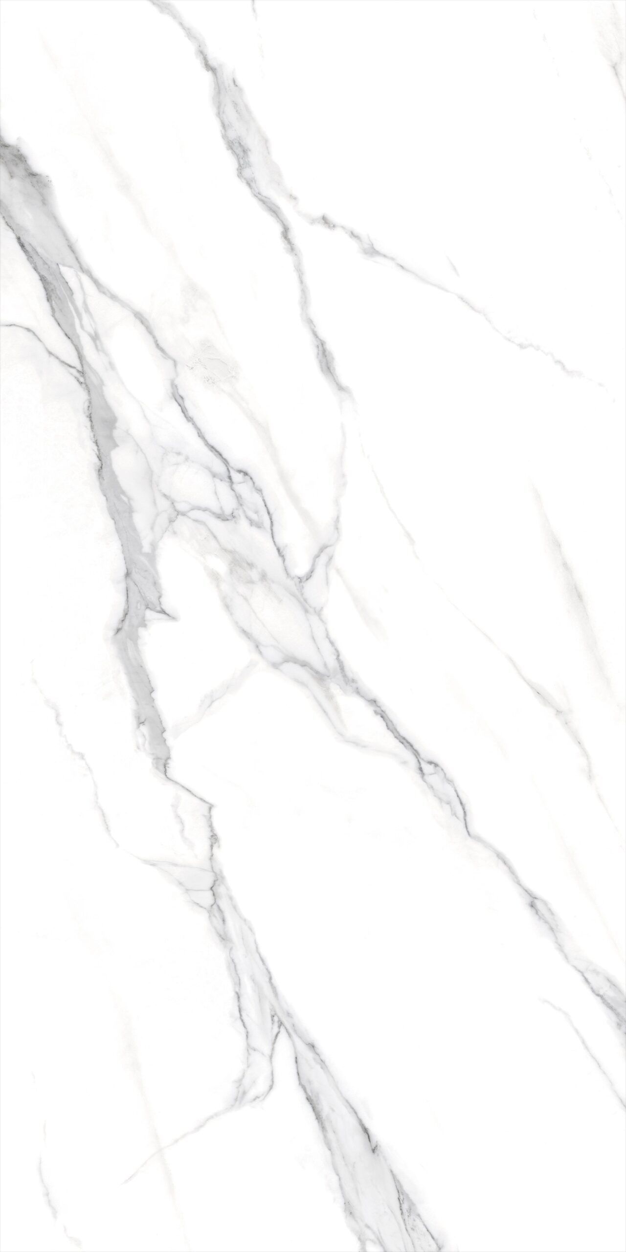 CALACATA SILVER 105CC11 - Image 2