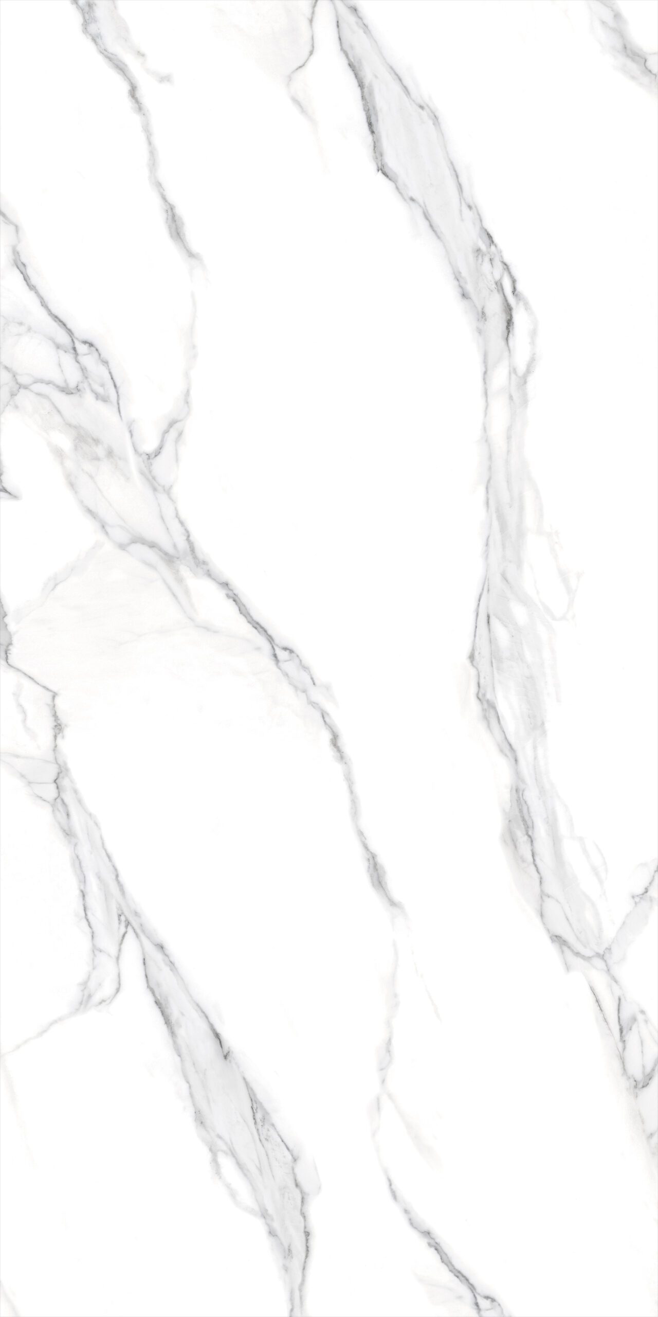 CALACATA SILVER 105CC11 - Image 4