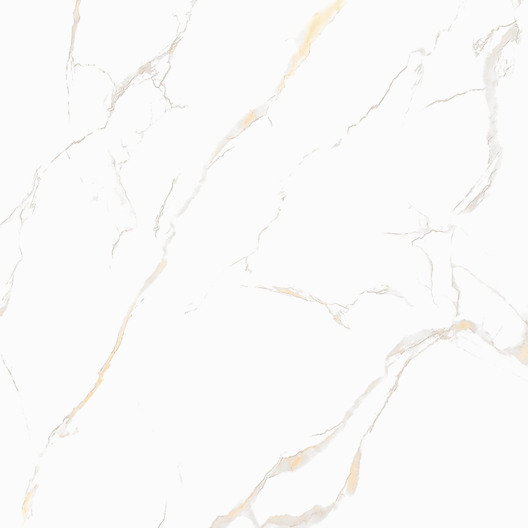 ECO 1B 9047E11 - Image 5