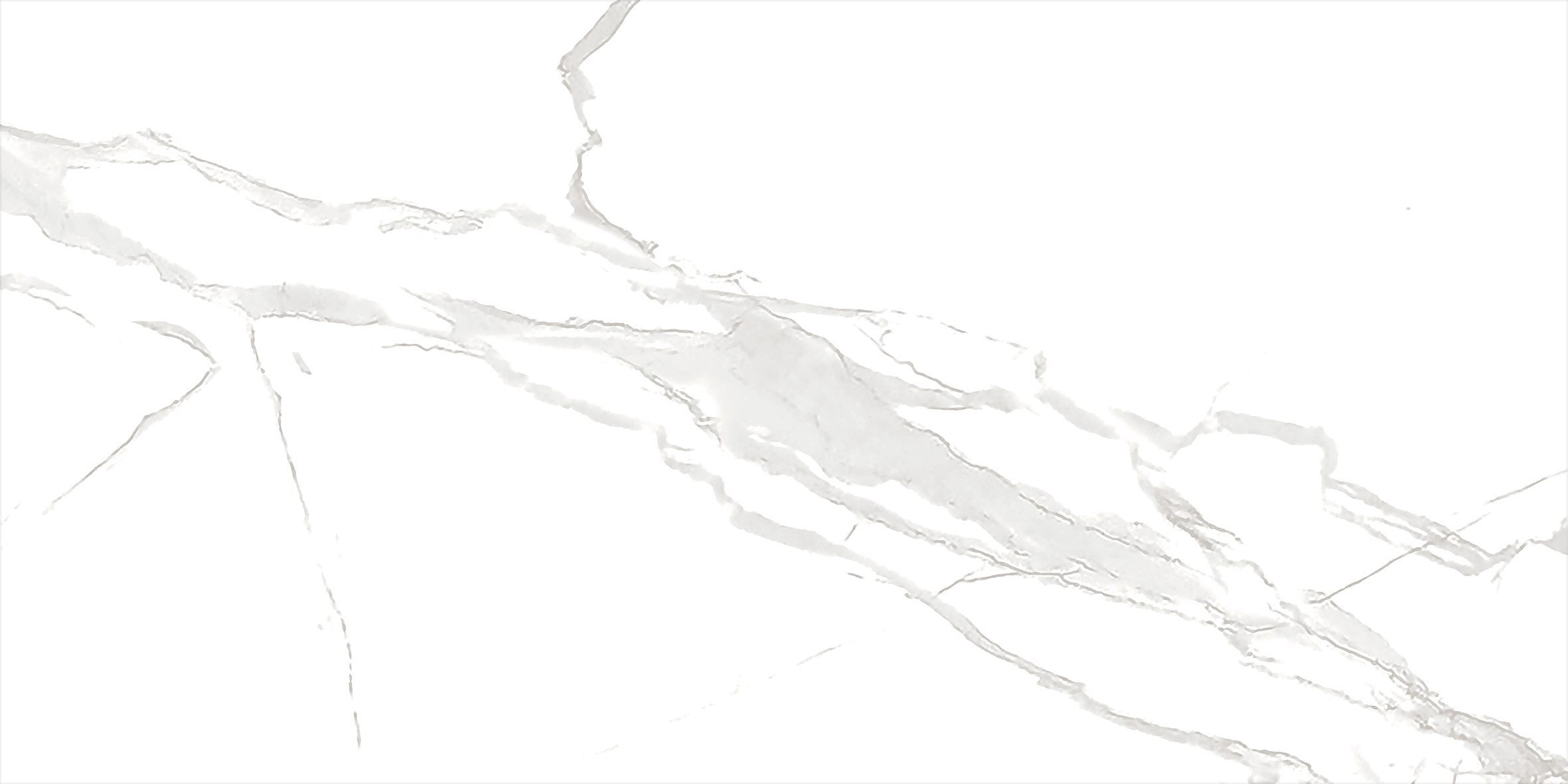 ECO 1G 9136A21 - Image 2