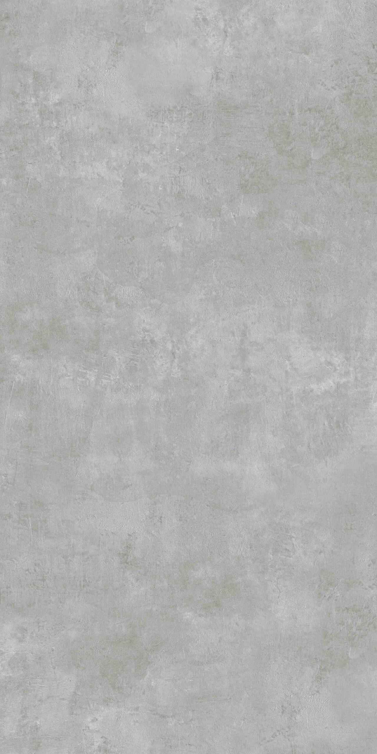 GRECO GREY 124CC11 - Image 4