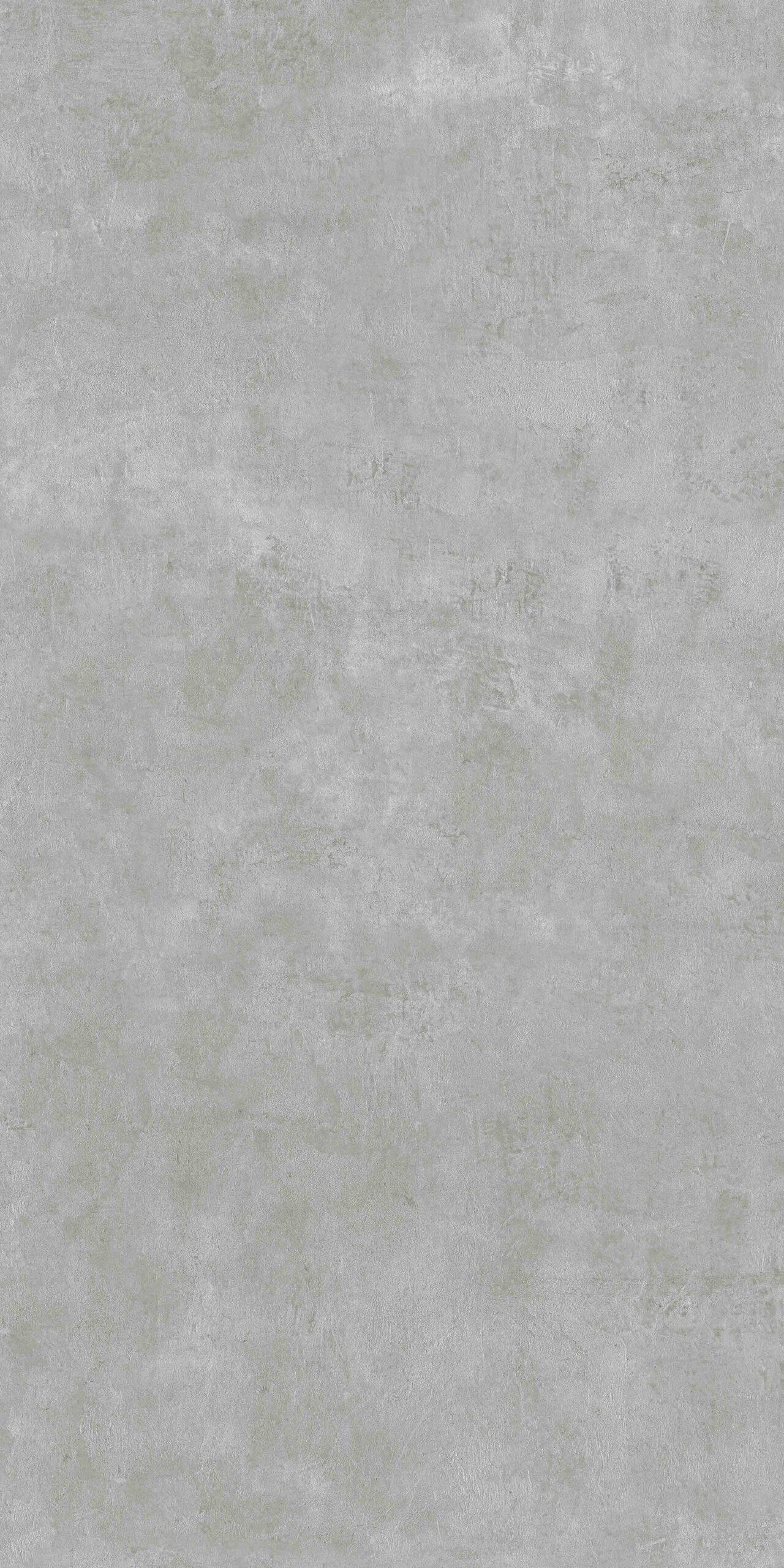 GRECO GREY 124CC11 - Image 2