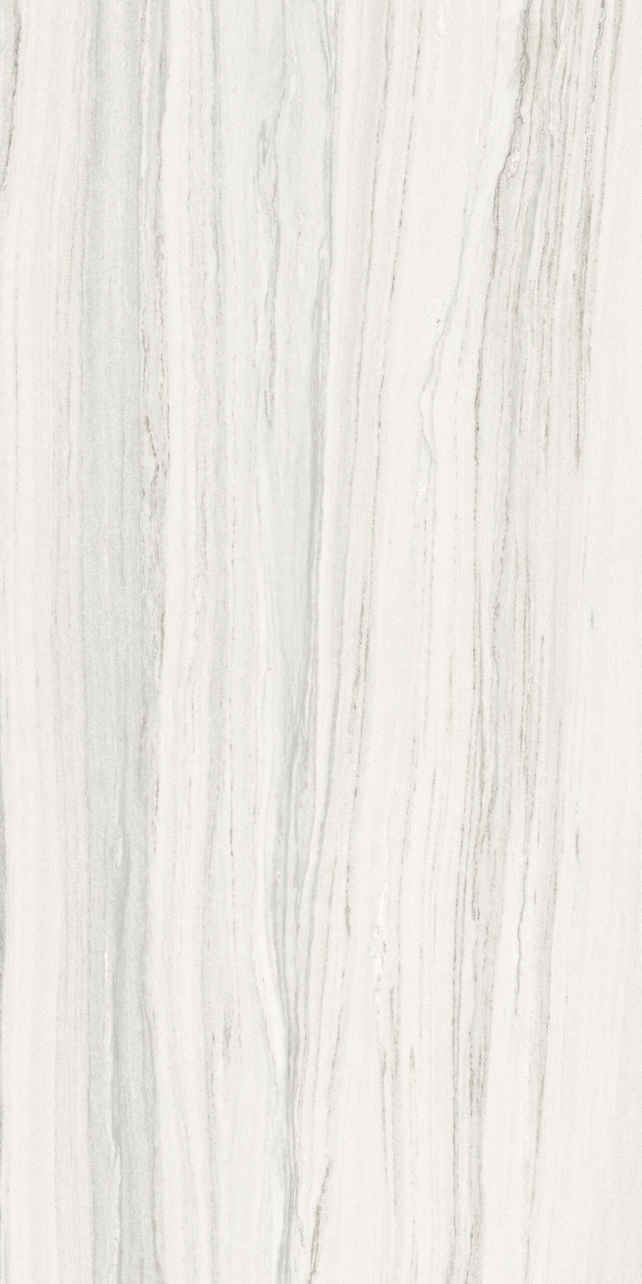 NAUTICO WHITE 173CC11 - Image 2