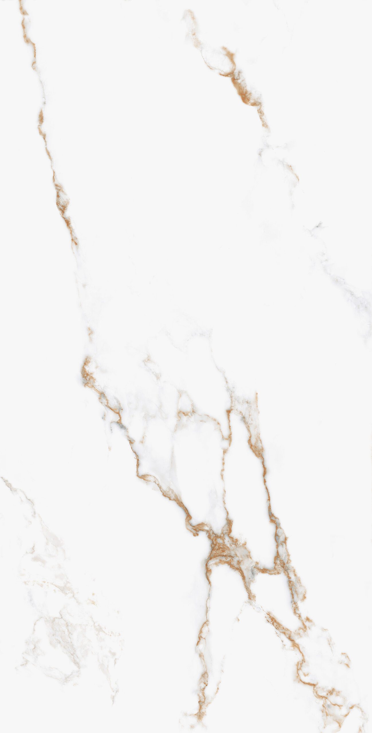 THASOS GOLD POLISHED 102CP11 - Image 4