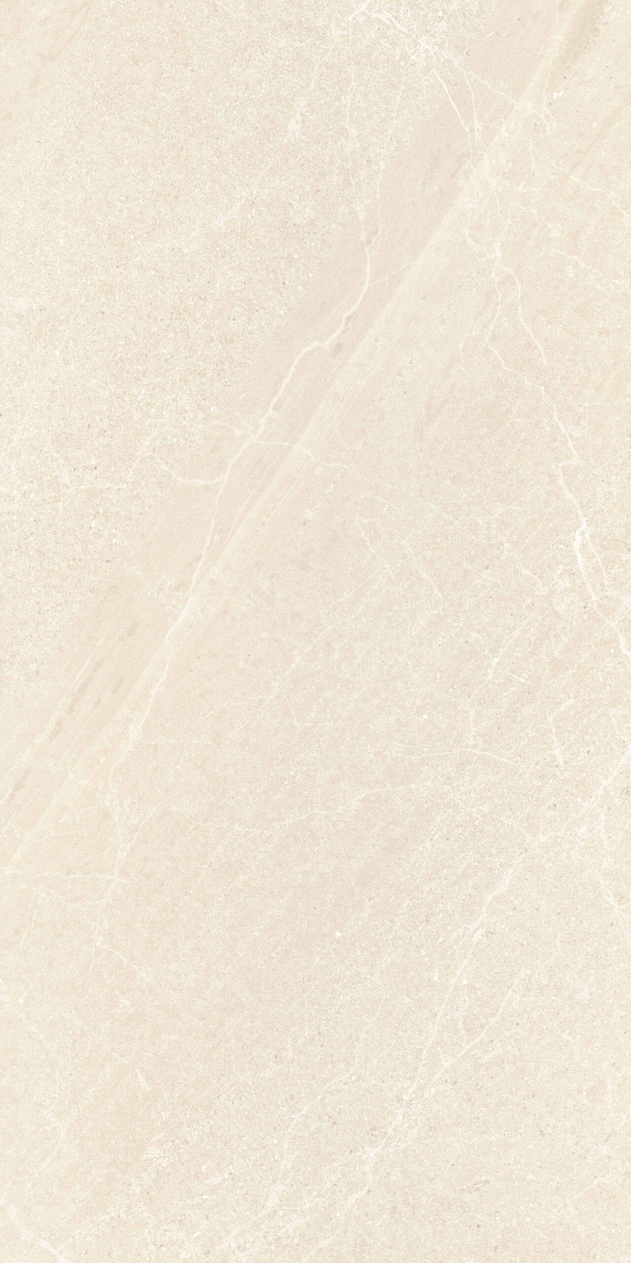 TRAFFIC BEIGE 149CC11 - Image 4
