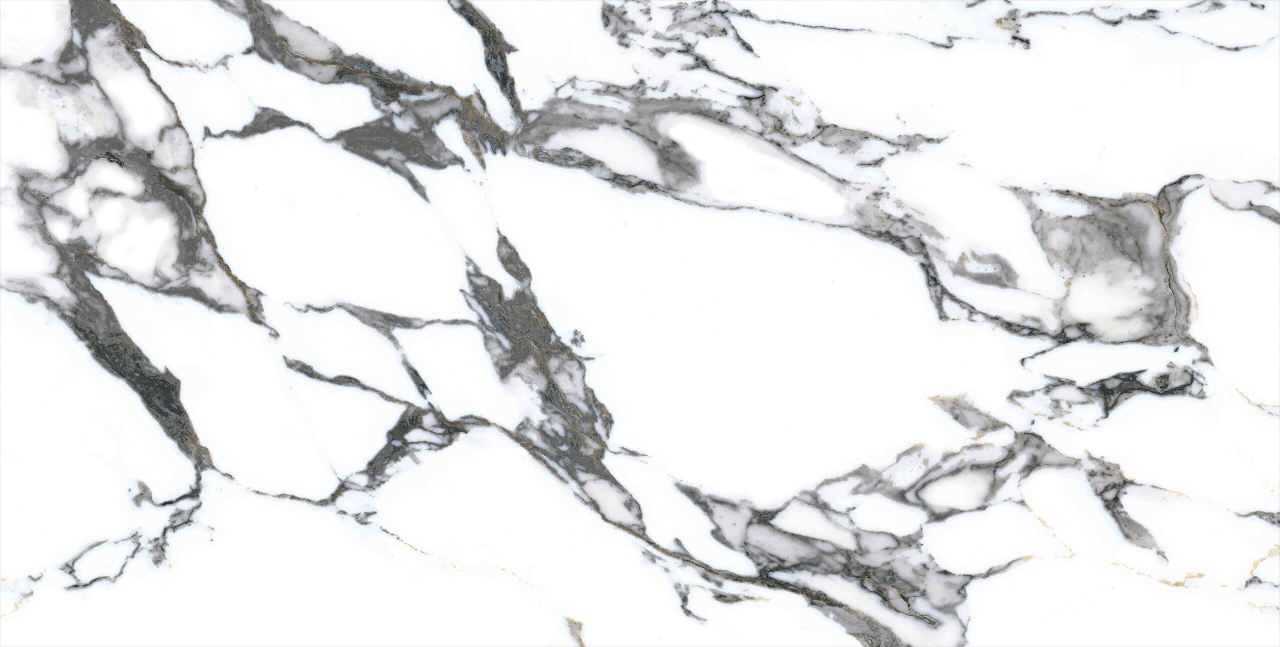VAN GOGH WHITE 9037A11 - Image 4