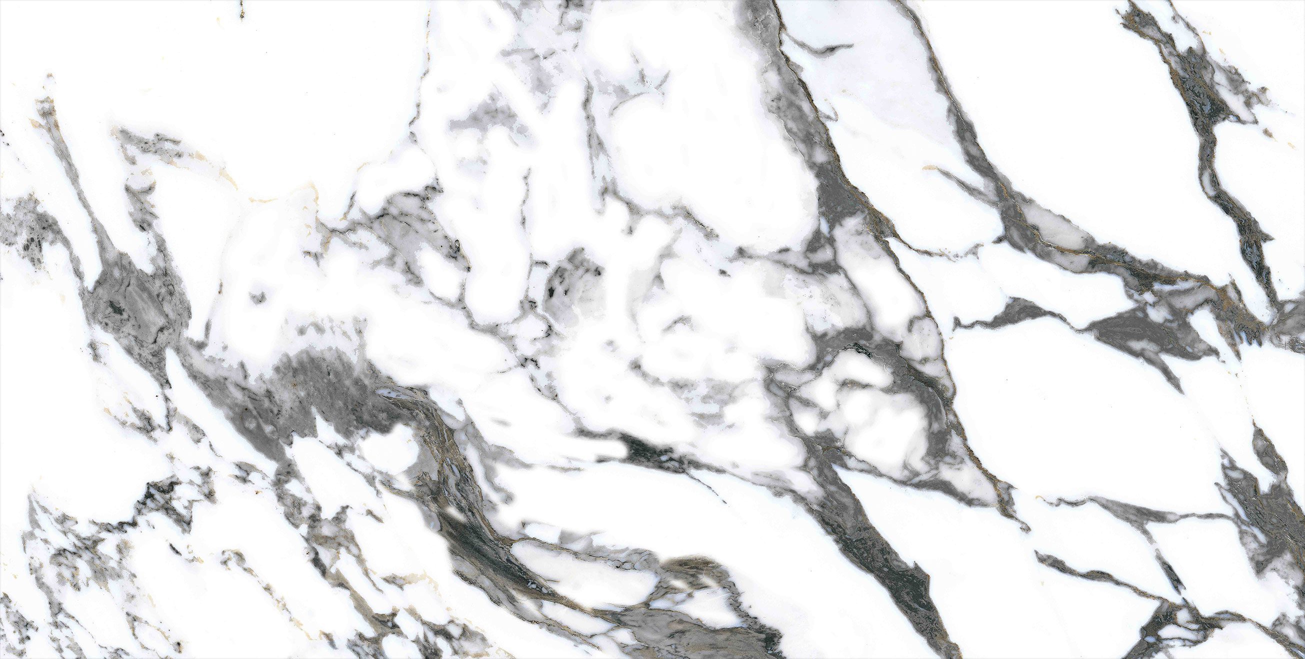 VAN GOGH WHITE 9037A11 - Image 2