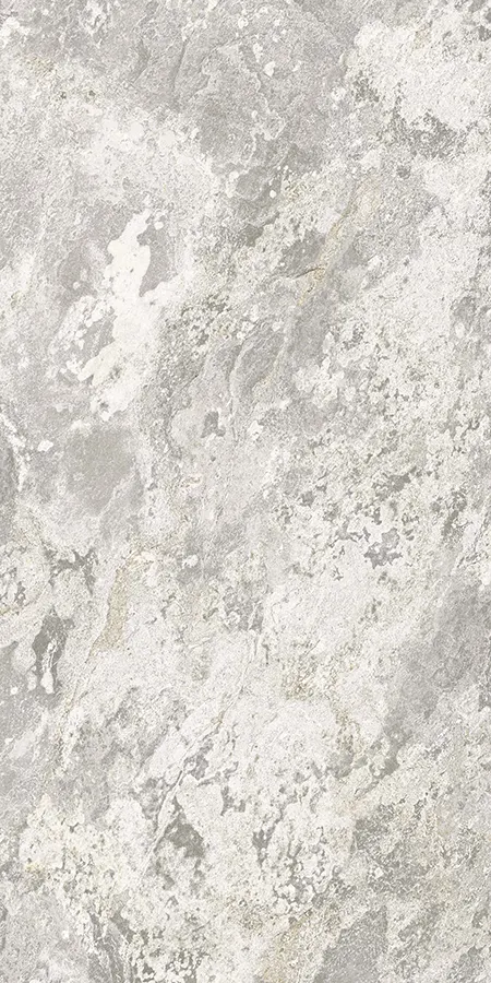 FIORDO GREY 199CC11 - Image 2